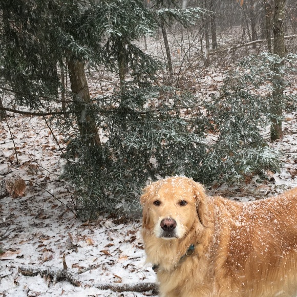 Meet your Posher, Helene - Picture 2 of 6